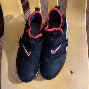 Red black and white Lebron James